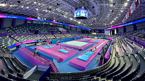 wns8888集团：龙华区政府门口绿化工程